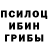 Псилоцибиновые грибы Magic Shrooms Dweders Gaming