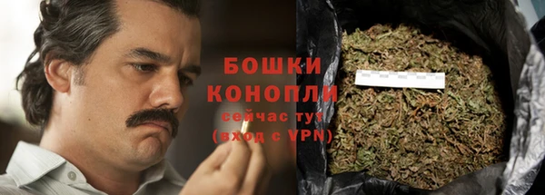 ГАЛЛЮЦИНОГЕННЫЕ ГРИБЫ Кодинск