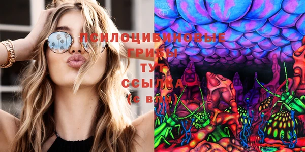гидра Козловка