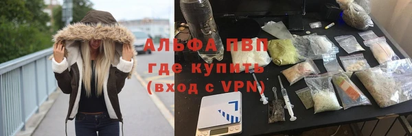 СК Козельск