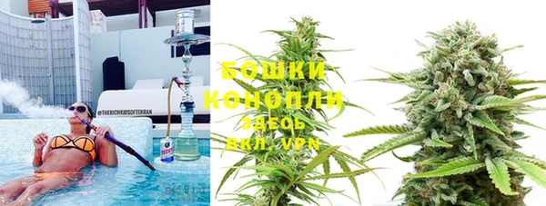 ГАЛЛЮЦИНОГЕННЫЕ ГРИБЫ Кодинск