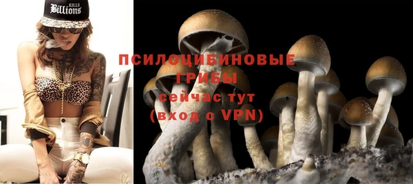 гидра Козловка