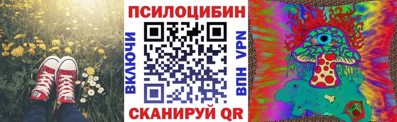 Купить  Пущино  Псилоцибиновые грибы ЛСД 